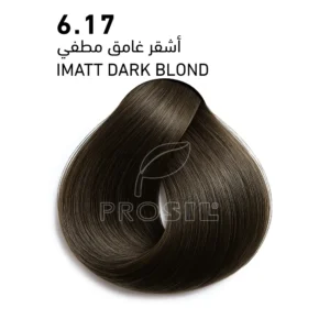 5005fcb5-caf6-4c5c-ab8f-70ac06115fd7-1000x1000-DE6oGIVKTZZFnmOSV9tXhdsu9z5vzJrHseBXXVCh.webp صبغة بروسيل الإيطالية 6.17 أشقر داكن رمادي موكا - 100 مل