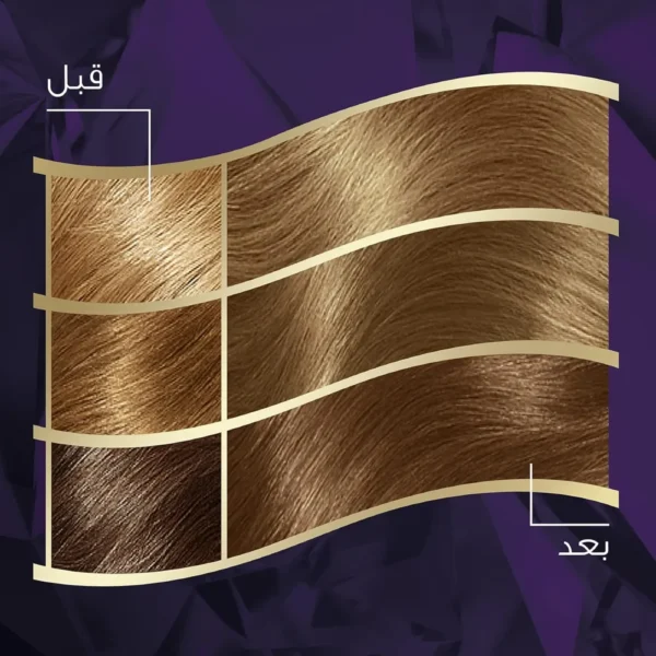 صبغة كوليستون (أشقر رمادي فاتح 308/1 ) - صورة 3