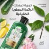 هيربل ايسنسز بلسم بيو رينيو بالألوفيرا والأفوكادو للشعر - 400 مل