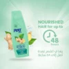 lT6T0Wqmu96vw3v26t95PTdnHJNXvgnVpD50Uawd.webp شامبو ضد تساقط الشعر بخلاصة الزنجبيل من برت بلس - 400 مل - صورة 2