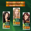 zgfvYfgjzdhBOQzYYdUQukU3tOJXMx8i8GM6dXhS.png غارنييه صبغة كولور ناتشرلز كريم - اشقر رمادي - صورة 7