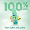 zs58yKKuMnzoRWBwWp9sBtaDkih4agmu6rEvVTws.webp شامبو ضد تساقط الشعر بخلاصة الزنجبيل من برت بلس - 400 مل - صورة 3